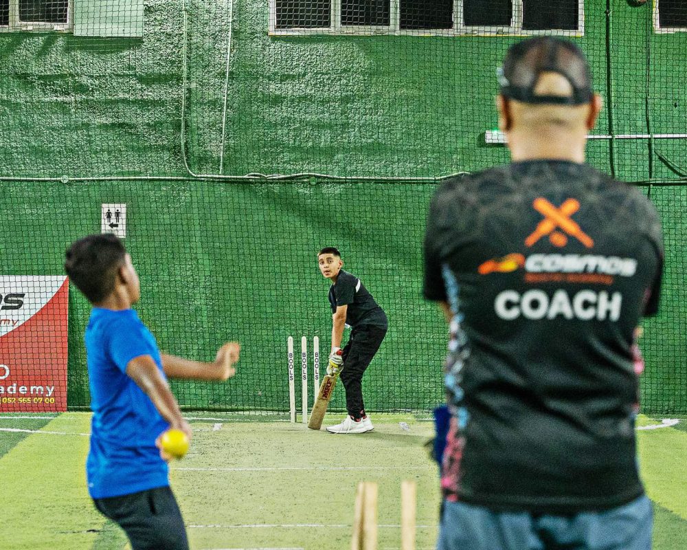 Cricket pic1